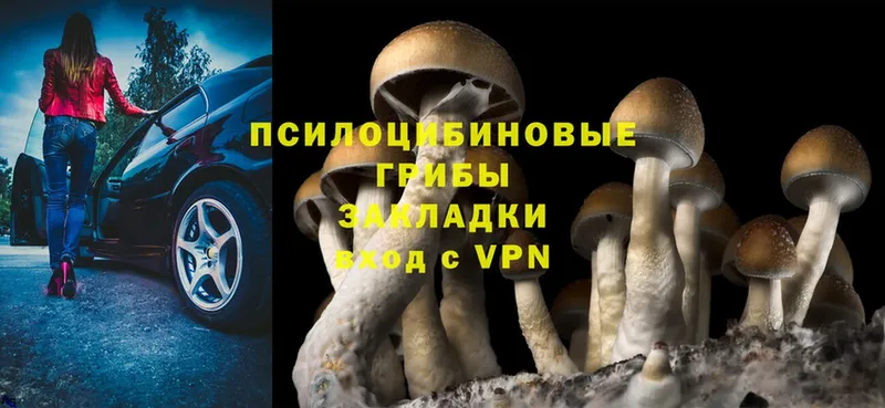 нарко площадка какой сайт  Липецк  Галлюциногенные грибы Psilocybe  ссылка на мегу ССЫЛКА 